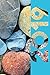 2019: Types of Rocks and Minerals Excellent Organizer Diary daily weekly and monthly calendar planne by Molly Elodie Rose