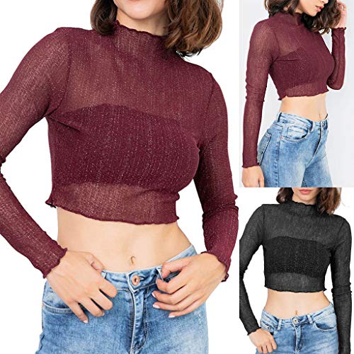 Women's Sexy See Through Sheer Mesh Long Sleeve Crop Top Tunic Blouse Shirts Belly Tank Tops Clubwear Black
