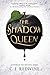 The Shadow Queen (Ravenspire, 1)