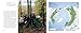 Out on the Land: Bushcraft Skills from the Northern Forest