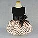 Fitwarm Elegant Princess Pet Dress for Dog Clothes Vest Shirts, Salmon, Medium