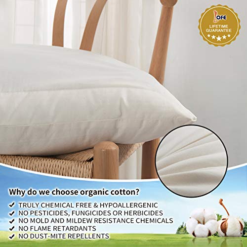 Lofe Buckwheat Hull Pillow for Sleeping with Organic Cotton Cover, Adjustable Loft of Premium Fiber Layer, Queen Size(20x28), Breathable for Cool Sleep, Cervical Support for Back and Side Sleepers - Thumbnail 4