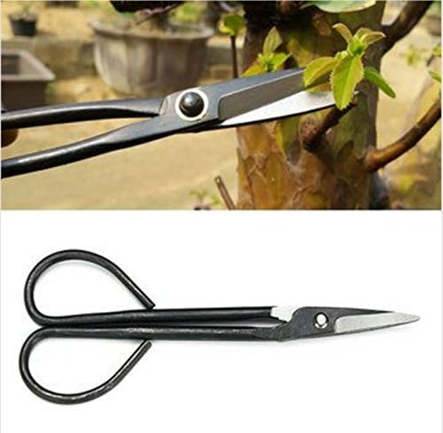 8 Inch Bonsai Carbon Steel Leaf Bud Scissor Potted Plant Modeling Long Handle Pruning Shear by Micro Shops