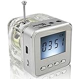 Haoponer Portable Mini Digital Display Screen Speaker USB Flash Drive Micro SD/TF Card Music MP3 Player FM Radio Silver