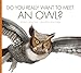 Do You Really Want to Meet an Owl? (Do You Really Want to Meet... Wild Animals?) by 