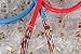 Platinum Connector RJ45 cat5e/5 snap in clips (100 count): Pass-Through makes cable connector assembly much easier and less prone to miss-wiring