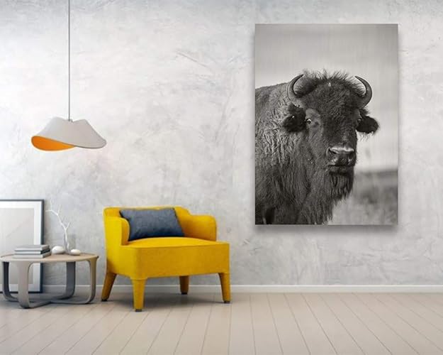 Amazon Com Buffalo Photography Wood Wall Art Black And