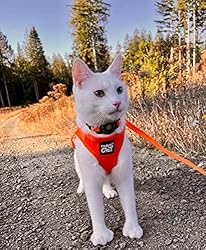 Travel Cat Harness and Leash Set - Adjustable