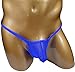 Mens Sheer Thongs G-strings Bulge Pouch C-thru T-back Underwear (S/M fit waist 27''-33'', Blue)