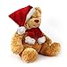 WILDREAM Plush Bear Stuffed Animals, First Teddy Bear Plush for Boys Girls Soft Gifts for Birthday, 11 Inches (Honey Brown)