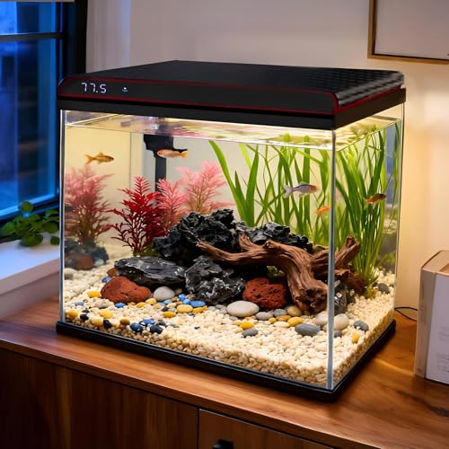 Coospider Glass Aquarium Kit