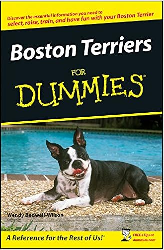 Boston Terriers for Dummies �y�[�p�[�o�b�N  - 2007/7/17