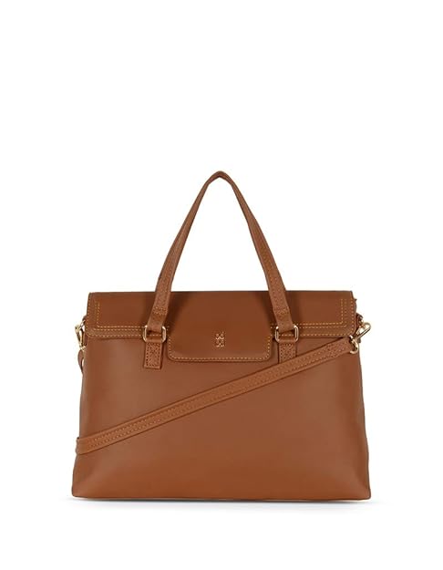 baggit satchel bags