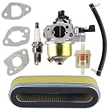 Hipa Carburetor with Air Filter Tune Up Kit for Honda GXV120 HR194 HR195 HR214 HR215 HRA214 HRA215 Lawn Mower