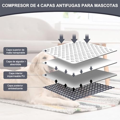 2 PCS Almohadillas Lavables para Perros, Impermeable Almohadilla de Entrenamiento,Tapetes Reutilizable de Entrenamiento para Perros, Almohadilla con Antideslizante Inferior para Perro Gatos (50X70CM)
