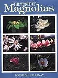 The World of Magnolias by Dorothy J. Callaway