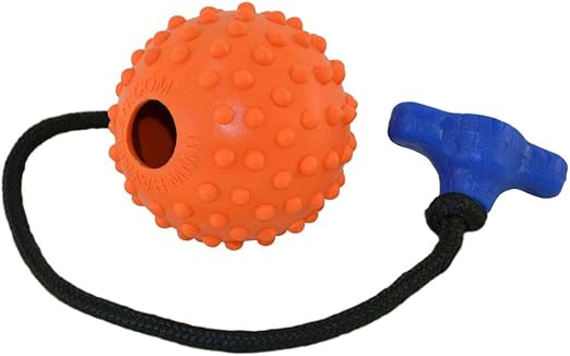 ray allen dog training