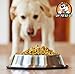 Estilo Stainless Steel Dog Bowls, 32 Oz (Set of 2)