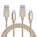 Sungluber Lightning Cable 2Pack 10Ft 8Pin Gold iPhone Charging Cable USB Data Cable for iPhone 6/6s/6 Plus/5/5c/5s
