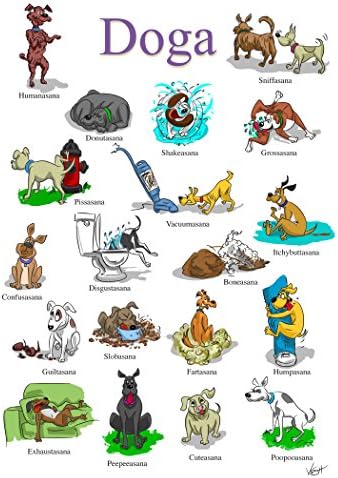 Yoga Doga Birthday Card
