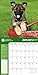 American Kennel Club German Shepherds 2017 Wall Calendar