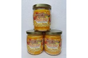Smoke Odor Exterminator 13 oz Jar Candles Orange Lemon Splash, (3)