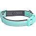 Blueberry Pet Soft & Safe 3M Reflective Neoprene Padded Dog Collar - Mint Blue, Small, 12