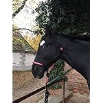 Cavezza con nodo a maglia per cavalli – Imbottita su naso e collo – ideale per il lavoro a terra, la formazione di…