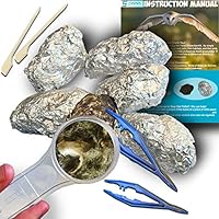 Amazing Owl Pellet Dissection Kit - 6-Piece Owl Pellet Set for Science Lab Projects - w/Tweezers, Magnifying Glass and Wooden Probes - Ideal for Kids, Class Projects - Bonus Barn Owl eBook