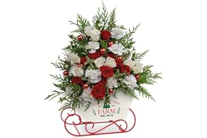 Little Mery-O - The Shopstation Same Day Christmas Flower Delivery - Online Christmas Flowers & Gifts - Send Christmas Flowers Bouquets,Centerpiece,Gifts