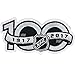 National Hockey League NHL 100th Anniversary Patch Jersey Sleeve Logo Embroidered Iron On