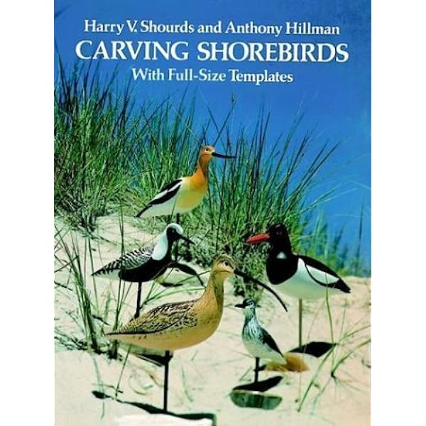 Songbird Carving II　Rosalyn Leach Daisey Songbird Carving: ROSALYN LEACH DAISEY: 9780887400575