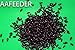 Tenebrio Obscurus Black Cleaner Beetles (Aka Buffalo Beetles) for Dubia Roaches Aprox Qty 200/5 Grams