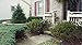 Iron X Handrail Arch #4 Fits 4 or 5 Steps