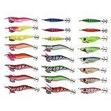 Free Fisher Fishing Lures Jigs Set