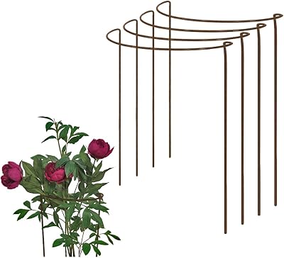 Garden Pride Rusty Bow Plant Supports Pack of 4 72cm Tall 40cm High