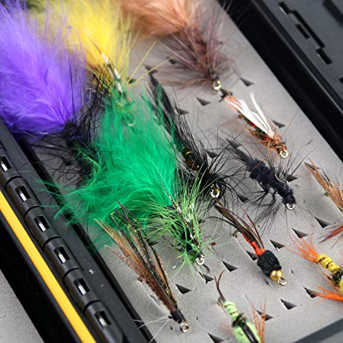 image for M MAXIMUMCATCH Maxcatch Fly Fishing Flies Kit Fly Assortment Dry/Wet F