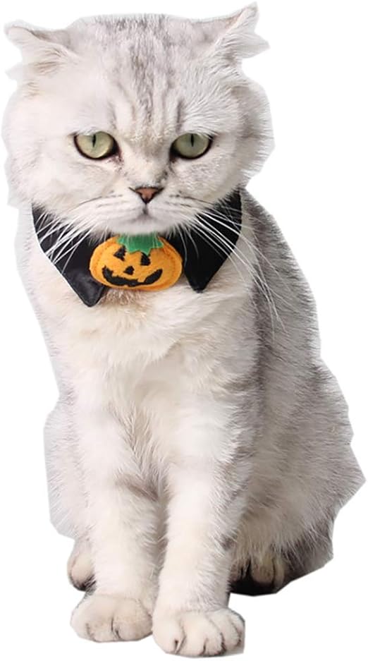 accesorios gatos amazon