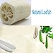 100% Natural 6 Pack of 4 inch Loofahs, ZUEXT SPA Exfoliating Scrubber for Skin Care, Luffa Body Scrub Sponge with Travel Bag, Natural Loofah Exfoliating Bath Sponge, Remove Dead Skin