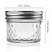 Nellam Quilted Glass Jars with Lids - 4 OZ Wide Mouth Crystal Jelly Glasses, Set of 24 Silver, for Canning, Preserving Food - each Mini Mason Jar is Freezer, Microwave, and Oven Proof