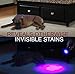 365nm UV Flashlight – Best for Finding Pet Urine, Inspecting Hotel Rooms and Repairing Carpets – 12 LED Ultraviolet Light – AAA Batteries Included – 6 Months Guarantee by Americans’ Preferred