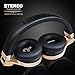 Riwbox IN5 Foldable Headphones with Microphone and Volume Control Stereo Folding Headset Strong Low Bass for iPhone ipad Smartphones Laptop Mp3/4 (Black Gold)