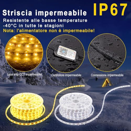 TENDIST 15M Striscia LED Esterno Bianco Freddo a Bianco Caldo Dimmerabile | Luci LED Compatibile con Alexa, Luce LED Senza Filo Smart, 24v Impermeabile Striscia Adesive per Cucina, Giardino