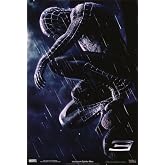 Spider-Man 3 Movie Poster Print (27 x 40)