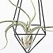 NCYP Modern Rustic Art Style Freestanding Hanging Metal Tillandsia Air Plant Rack Holder Black 10 inches Height Quadrilateral Pyramid Shape Geometric Hollow Flower pots, No Plants Included