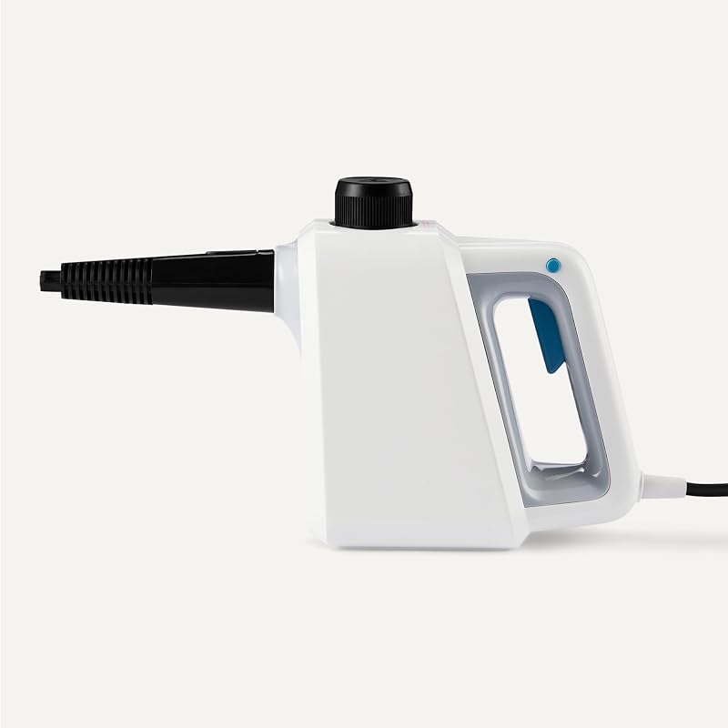 Nettoyeur à Vapeur Portatif pour la Maison avec 9 Accessoires, Puissant Jet de Vapeur de 1 000W, Réservoir de 250ml, Blanc