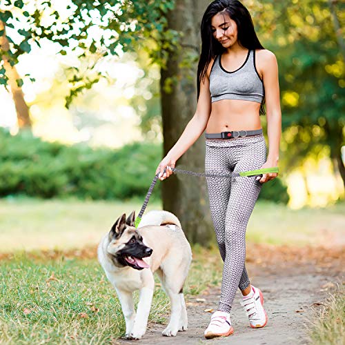 YIHATA Hand Free Hands Dog Leash 6FT Bungee Running Leashes for Dogs Reflective Backpacking Waist Belt Adjustable Biking Rugged Woaat Collar Halti Muzzle Night, Ideal for Small, Medium, Large Dogs - Thumbnail 4