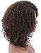 Kalyss Brown Highlights Afro Kinky Curly Wigs for Black Women Premium Synthetic Hair Wig Curved Part Natural Looking Hair Wigs for Women Daily Wear Hairpiece