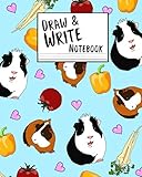 Draw and Write Notebook: Blue Guinea Pig Themed Paperback Composition Book With Space to Draw and Wr by School Bound Express