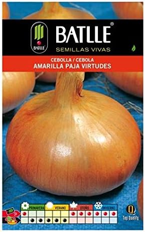 Semillas de Cebolla amarilla Paja Virtudes: Amazon.es: Jardín